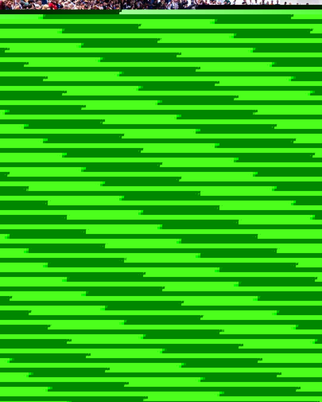 影响